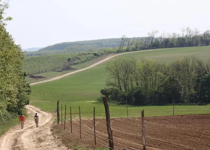 Parc de vacanță Robiniapark *