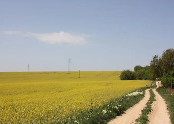 Vakantiepark Robiniapark