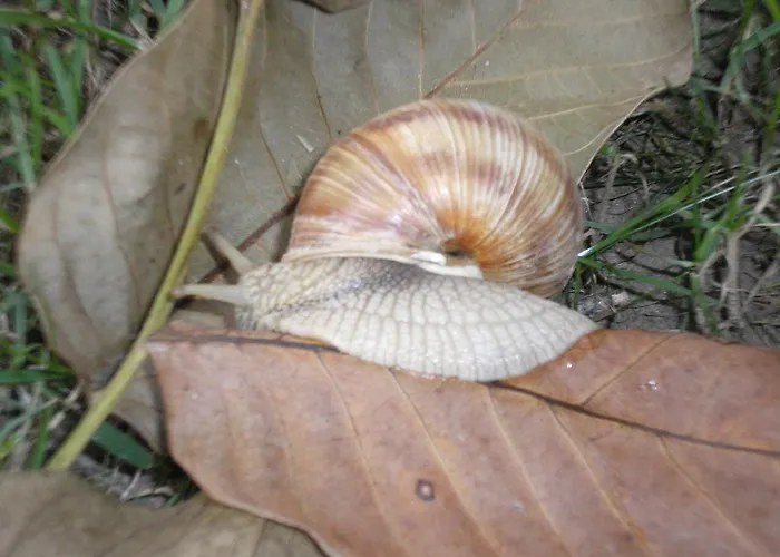 Parc de vacanță Robiniapark Szolad